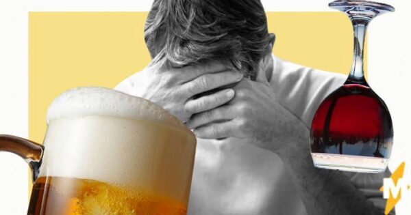 Ученые изучали, как правильно пить алкоголь, чтобы привить молодежи любовь к науке