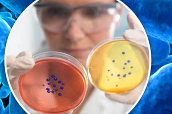 Ученые раскрыли механизм, как бактерии сопротивляются антибиотикам