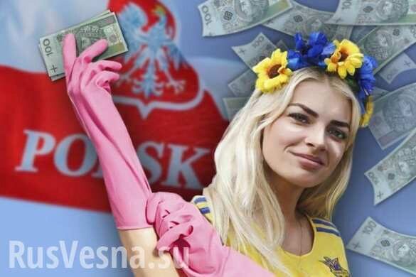 Украинцы активно наполняют пенсионный фонд... Польши