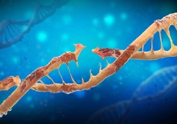 Употребление алкоголя повреждает ДНК – ученые