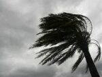 В Италии от урагана погибли четыре человека