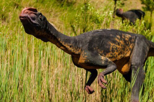 В Монголии обнаружены останки редкого вида динозавра