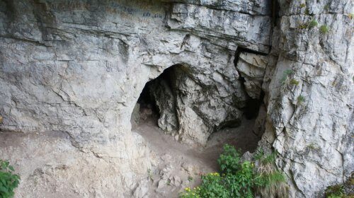Археологи впервые собрали череп денисовского человека