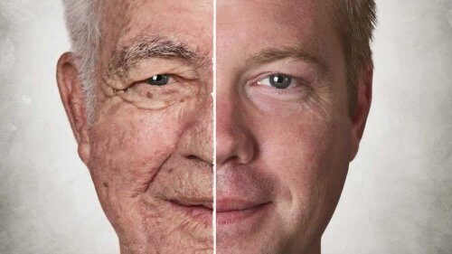 Британские ученые научились останавливать работу гена старения