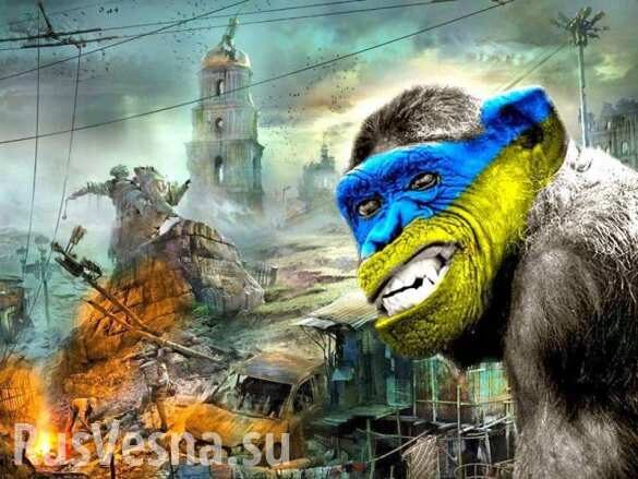 Дикая Украина: Под Житомиром забросали камнями поезд (ФОТО)