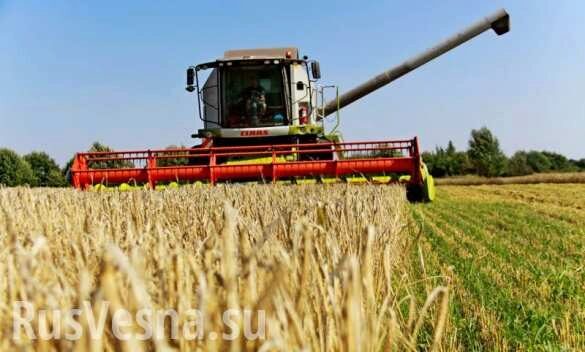Экономический прорыв: Россия стала крупнейшим поставщиком сельхозтоваров в мире