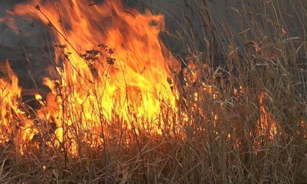 Крупный пожар был ликвидирован в Ростовской области