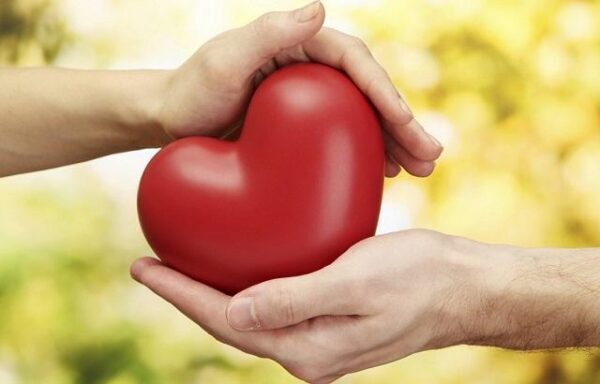 Названы два ключевых элемента для здоровья сердца