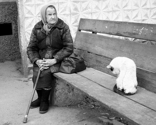 Росстат провел параллель между одиночеством и бедностью россиян