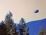 В США наблюдали дискообразный НЛО над лесом
