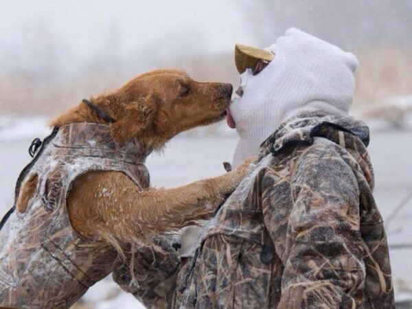 В Ставропольском крае определены сроки охоты на дичь