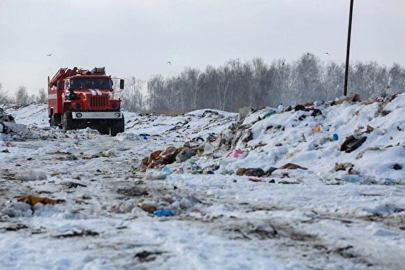 Мэр Нижнего Тагила разрешил вырубить 5 тыс. деревьев под мусоросортировочный завод