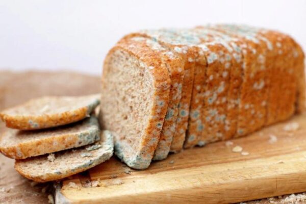 Можно или нельзя есть хлеб с плесенью, - ответ специалиста