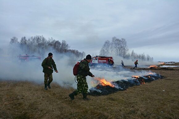 На Южном Урале установлен виновник крупного лесного пожара с ущербом в 1 млн рублей