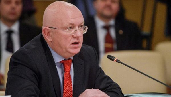 Небензя обозначил Совбезу ООН цель указа об упрощении получения гражданства для жителей Донбасса