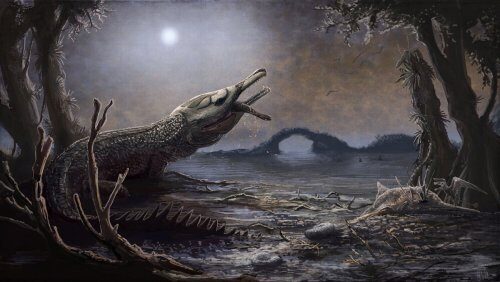 Палеонтологи нашли новый вид доисторического крокодила: Внешне он больше похож на дельфинов