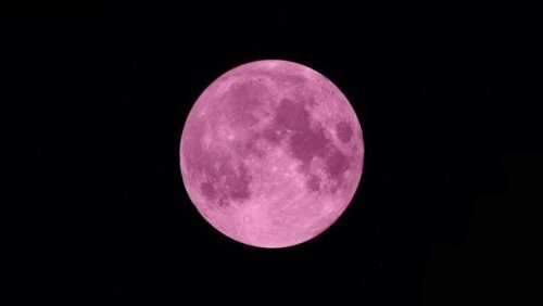 Розовая Пасхальная Луна приходит в Страстную пятницу