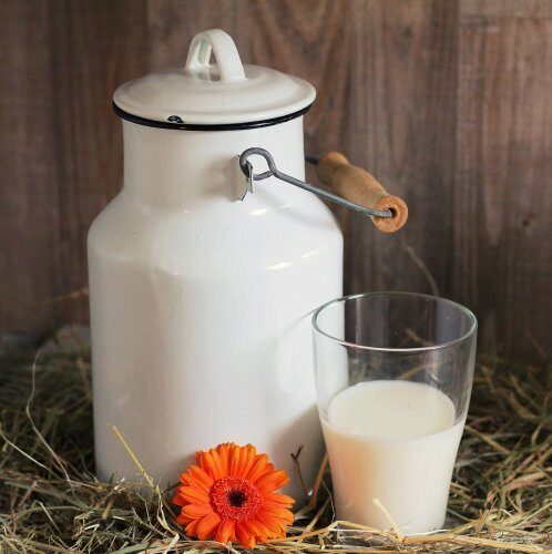 Топлёное молоко оказалось самым полезным для работы мозга продуктом – Учёные