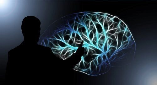 Ученые: Тренировка мозга спасает от инсульта и болезни Паркинсона