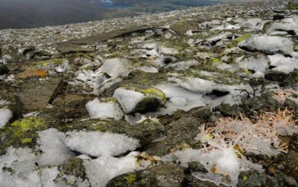 Ученые выяснили причины быстрого таяния льдов российского заполярья