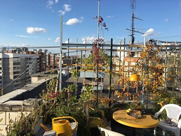 В Екатеринбурге УК снесла сад на крыше девятиэтажки, который пенсионер выращивал 18 лет