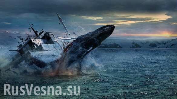 В Норвегии обнаружили российского «боевого кита» (ФОТО, ВИДЕО)