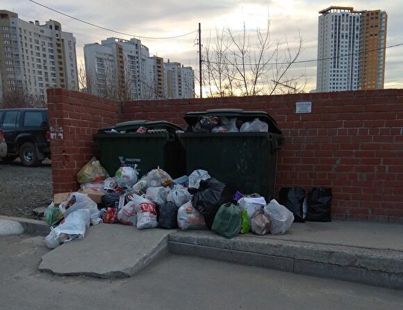 «Заведутся крысы». В Екатеринбурге от дома с тысячью жителей шестой день не вывозят мусор