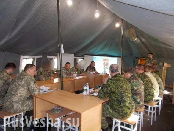 Иностранцы проверили, как ВСУ «не воюют» на Донбассе (ФОТО)