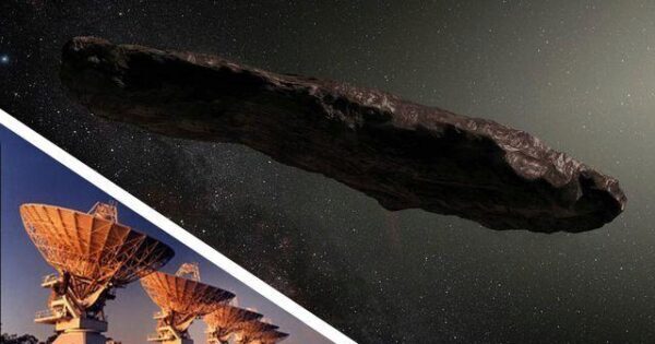На странном космическом объекте Оумуамуа могут быть инопланетные живые организмы