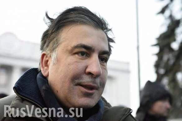 Стало известно, когда Саакашвили вернётся на Украину