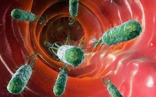 Ученые изучили механизм появления лекарственной устойчивости у микробов