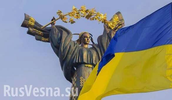 «Украины — нет!» — европейский доброволец (ВИДЕО)