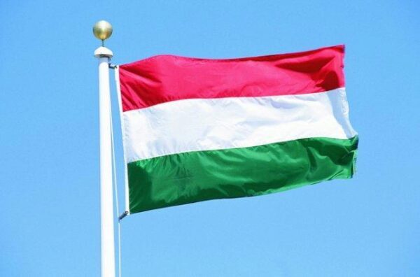 В МИД Венгрии призвали Зеленского к восстановлению дружеских отношений между Венгрией и Украиной