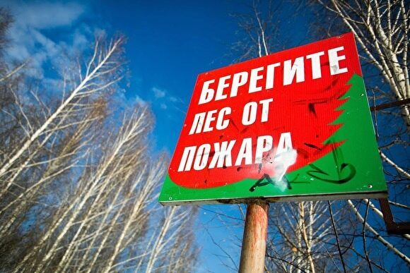 В двух районах Челябинской области введен режим ЧС из-за лесных пожаров