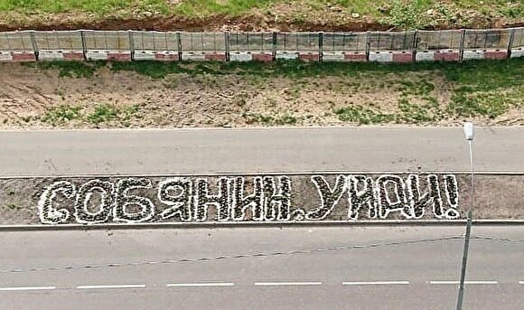 В Москве коммунальщики перекопали клумбу с надписью «Собянин, уйди», сделанную жителями