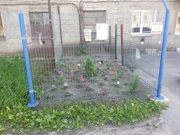 «Цветник особого режима». В Кургане клумбу огородили высоким забором