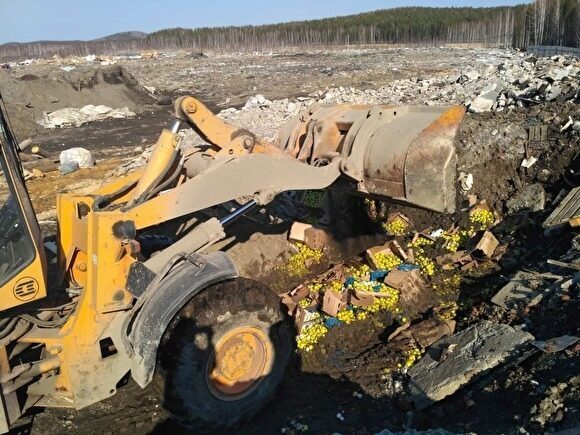 ФСБ и Россельхознадзор уничтожили 198 килограммов овощей с оптовой базы в Екатеринбурге