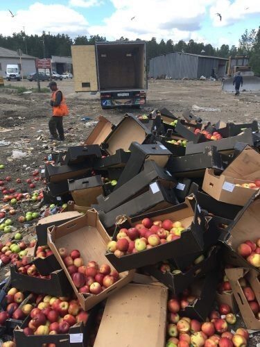 На «Шуховском полигоне» бульдозером раздавали больше 3 тонн «санкционных» яблок