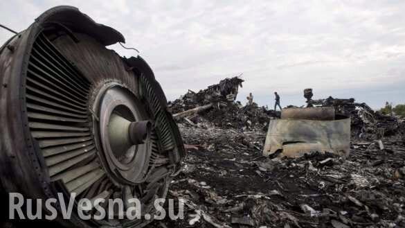 Нидерланды намеренно скрыли украинскую вину в катастрофе MH17 (ВИДЕО)
