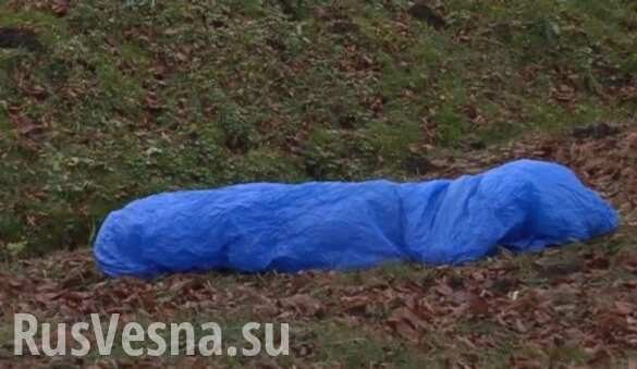 Украинец умер в столярном цеху в Польше, работодатели выбросили его тело в лесу (ФОТО)