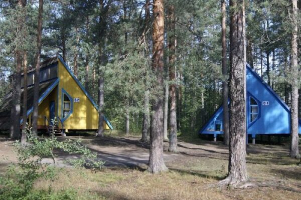 В Петербурге и Ленобласти надзорные ведомства выявляют опасные детские лагеря