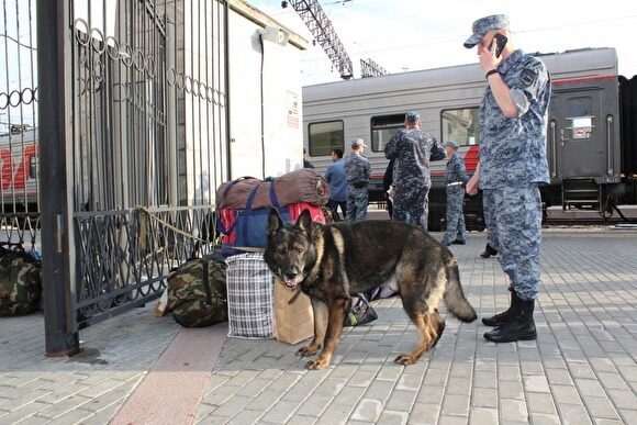 В Екатеринбург после командировки на Кавказ вернулся отряд полиции с собаками