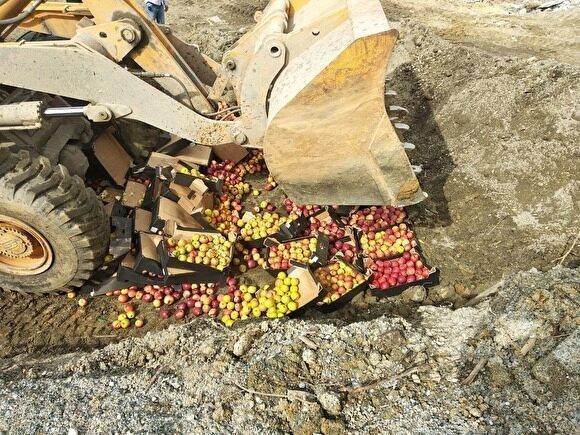 В Курганской области за пять месяцев уничтожили почти 10 тонн санкционной продукции