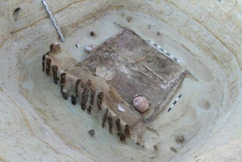 Астраханские археологи сделали открытие: Они нашли останки сарматского воина с трепанацией черепа