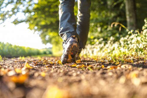 Эксперты: 20-минутная прогулка снижает риск сосудистых нарушений у людей с предиабетом