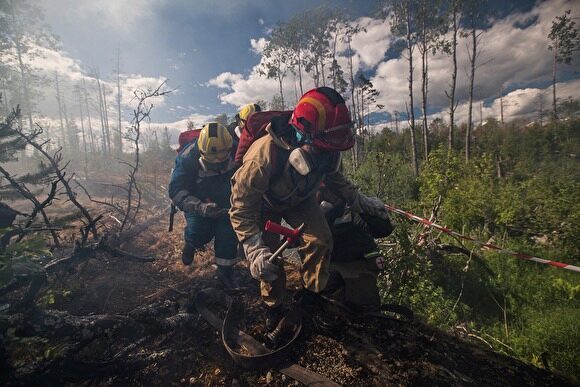 Эксперты предсказали глобальную экологическую катастрофу из-за лесных пожаров в Сибири