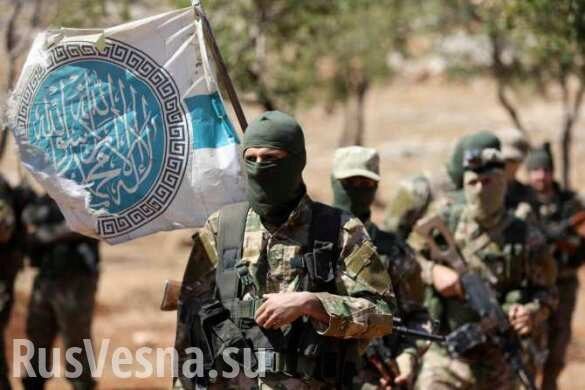 Hay’at Tahrir al-Sham terrorists use mosques and schools as strongholds in Idlib, Syria