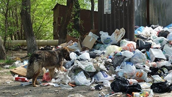 Конкурс по отбору мусорного оператора в Курганской области признан несостоявшимся