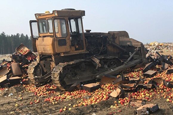 На Шуховском полигоне бульдозером раздавили 4,5 тонны «санкционных яблок»