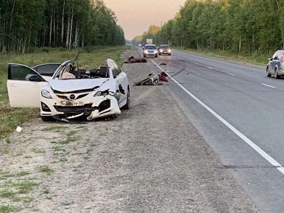 На трассе Ханты-Мансийск — Тюмень автомобиль сбил лося